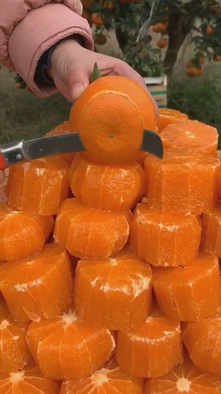 橙子遥控器手机版(小橙万能遥控器客服)-第2张图片-QuickQ官网