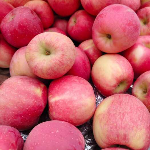 来安版苹果(来安苹果专卖店在哪里)-第5张图片-QuickQ官网 来安版苹果(来安苹果专卖店在哪里)-第5张图片-QuickQ官网