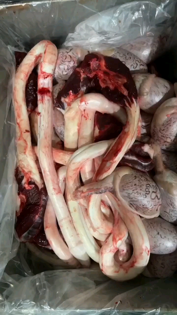 牛宝手机版官网登录(币牛牛app官网)-第5张图片-QuickQ官网