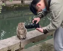 猫咪视频版破解苹果版(猫咪视频破解版旧版下载)